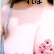 ヒメ日記 2025/10/28 19:12 投稿 れな ニューヨーカー