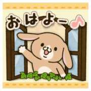 ヒメ日記 2025/11/10 06:33 投稿 れな ニューヨーカー