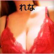 れな 来週 ニューヨーカー