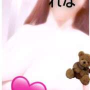 ヒメ日記 2026/02/11 17:03 投稿 れな ニューヨーカー