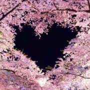 ヒメ日記 2025/04/04 00:11 投稿 ほまれ 熟女の風俗最終章 相模原店