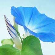 ヒメ日記 2025/07/18 15:50 投稿 ほまれ 熟女の風俗最終章 相模原店