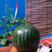 ヒメ日記 2025/09/03 14:28 投稿 ほまれ 熟女の風俗最終章 相模原店