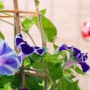 ヒメ日記 2025/09/05 13:50 投稿 ほまれ 熟女の風俗最終章 相模原店