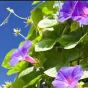 ヒメ日記 2025/09/05 14:00 投稿 ほまれ 熟女の風俗最終章 相模原店