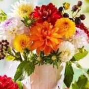 ヒメ日記 2025/09/14 18:07 投稿 ほまれ 熟女の風俗最終章 相模原店