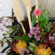 ヒメ日記 2025/09/29 08:07 投稿 ほまれ 熟女の風俗最終章 相模原店