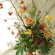 ヒメ日記 2025/09/29 08:20 投稿 ほまれ 熟女の風俗最終章 相模原店