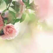 ヒメ日記 2025/11/03 08:56 投稿 ほまれ 熟女の風俗最終章 相模原店