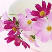 ヒメ日記 2025/11/08 14:00 投稿 ほまれ 熟女の風俗最終章 相模原店