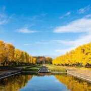 ヒメ日記 2025/11/20 11:25 投稿 ほまれ 熟女の風俗最終章 相模原店