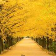 ヒメ日記 2025/11/20 11:33 投稿 ほまれ 熟女の風俗最終章 相模原店