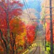 ヒメ日記 2025/11/25 23:50 投稿 ほまれ 熟女の風俗最終章 相模原店