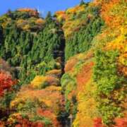 ヒメ日記 2025/11/27 16:09 投稿 ほまれ 熟女の風俗最終章 相模原店