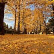 ヒメ日記 2025/11/30 08:23 投稿 ほまれ 熟女の風俗最終章 相模原店