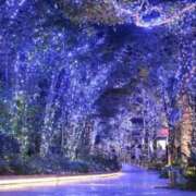 ヒメ日記 2025/12/09 11:23 投稿 ほまれ 熟女の風俗最終章 相模原店