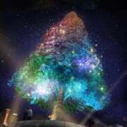 ヒメ日記 2025/12/18 11:50 投稿 ほまれ 熟女の風俗最終章 相模原店