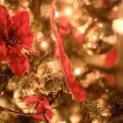 ヒメ日記 2025/12/24 15:59 投稿 ほまれ 熟女の風俗最終章 相模原店