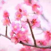 ヒメ日記 2026/01/17 12:35 投稿 ほまれ 熟女の風俗最終章 相模原店