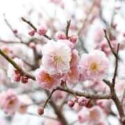 ヒメ日記 2026/01/17 12:41 投稿 ほまれ 熟女の風俗最終章 相模原店