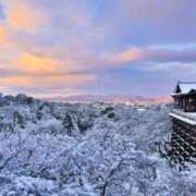 ヒメ日記 2026/01/22 14:50 投稿 ほまれ 熟女の風俗最終章 相模原店