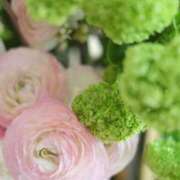 ヒメ日記 2026/01/29 19:20 投稿 ほまれ 熟女の風俗最終章 相模原店