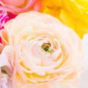 ヒメ日記 2026/02/01 14:00 投稿 ほまれ 熟女の風俗最終章 相模原店