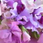 ヒメ日記 2026/02/04 20:20 投稿 ほまれ 熟女の風俗最終章 相模原店