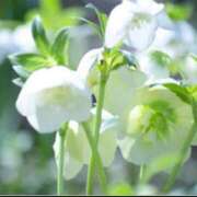 ヒメ日記 2026/02/06 00:20 投稿 ほまれ 熟女の風俗最終章 相模原店