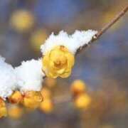 ヒメ日記 2026/02/09 14:19 投稿 ほまれ 熟女の風俗最終章 相模原店