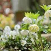 ヒメ日記 2026/02/12 17:20 投稿 ほまれ 熟女の風俗最終章 相模原店