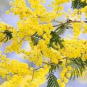 ヒメ日記 2026/02/12 21:20 投稿 ほまれ 熟女の風俗最終章 相模原店