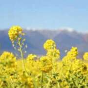 ヒメ日記 2026/02/13 16:52 投稿 ほまれ 熟女の風俗最終章 相模原店