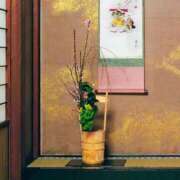 ヒメ日記 2026/02/27 08:57 投稿 ほまれ 熟女の風俗最終章 相模原店