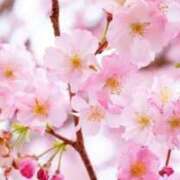 ヒメ日記 2026/02/28 23:20 投稿 ほまれ 熟女の風俗最終章 相模原店