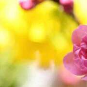 ヒメ日記 2026/03/05 16:40 投稿 ほまれ 熟女の風俗最終章 相模原店