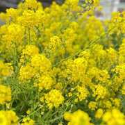 ヒメ日記 2026/03/07 22:50 投稿 ほまれ 熟女の風俗最終章 相模原店