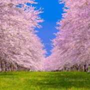 ヒメ日記 2026/04/03 12:00 投稿 ほまれ 熟女の風俗最終章 相模原店