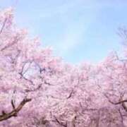 ほまれ 4/2御礼 熟女の風俗最終章 相模原店