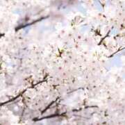 ほまれ 4/2御礼 熟女の風俗最終章 相模原店