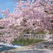 ほまれ 4/3御礼 熟女の風俗最終章 相模原店