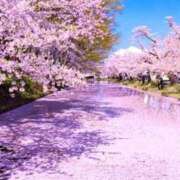 ヒメ日記 2026/04/24 20:30 投稿 ほまれ 熟女の風俗最終章 相模原店