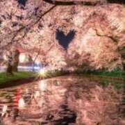 ヒメ日記 2026/04/24 20:50 投稿 ほまれ 熟女の風俗最終章 相模原店