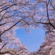 ヒメ日記 2026/04/25 10:00 投稿 ほまれ 熟女の風俗最終章 相模原店