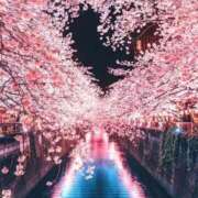 ヒメ日記 2026/04/27 22:06 投稿 ほまれ 熟女の風俗最終章 相模原店