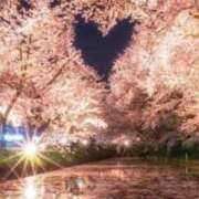 ヒメ日記 2026/04/27 22:20 投稿 ほまれ 熟女の風俗最終章 相模原店