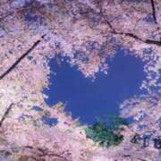 ヒメ日記 2026/04/28 00:23 投稿 ほまれ 熟女の風俗最終章 相模原店