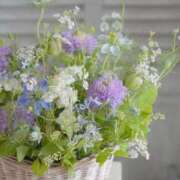 ヒメ日記 2026/04/30 21:31 投稿 ほまれ 熟女の風俗最終章 相模原店