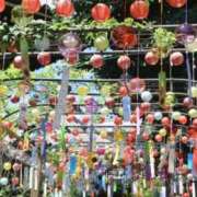 ヒメ日記 2026/08/16 19:03 投稿 ほまれ 熟女の風俗最終章 相模原店