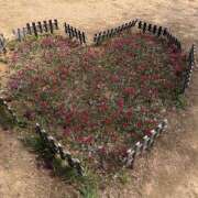 ヒメ日記 2025/04/19 17:51 投稿 ほまれ 熟女の風俗最終章 町田店